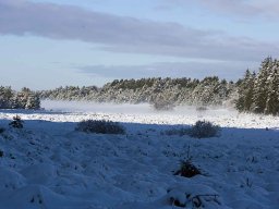 IMGP9412_Vinterstemning